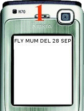 SMS FLY